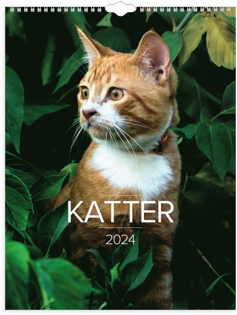 Väggkalender 2024 Stora Kattkalendern 1