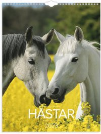 Väggkalender 2023 Stora Hästkalendern