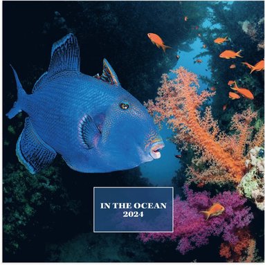 Väggkalender 2024 Ocean life 1