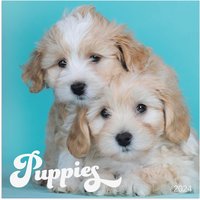 Väggkalender 2024 Puppies