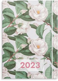 Kalender 2023 Senator A6 Flora