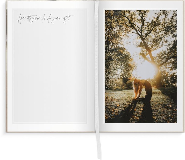 Souldagboken Josefine Bengtsson, Övrigt