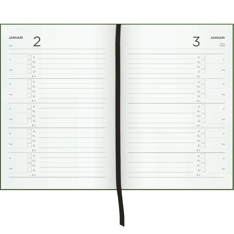 Femårsdagbok - Stig L. - Berså, Övrigt