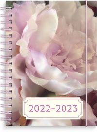 Kalender 2022-2023 Study A6 pion
