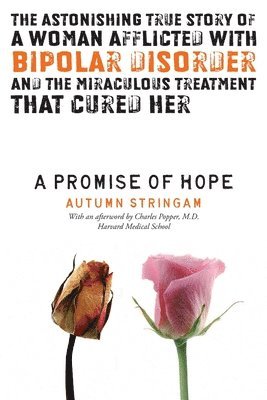 bokomslag Promise Of Hope