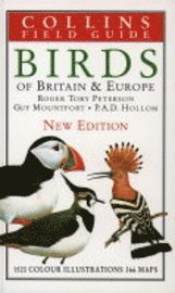 bokomslag Birds of Britain and Europe