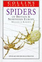 bokomslag Spiders of Britain and Northern Europe