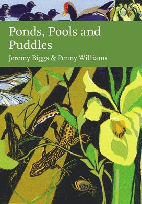 Ponds, Pools and Puddles 1