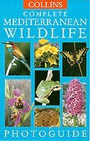 Complete Mediterranean Wildlife