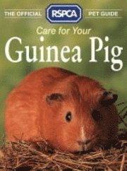 bokomslag Official Rspca Pet Guide - Care For Your Guinea Pig