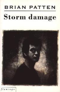 bokomslag Storm Damage