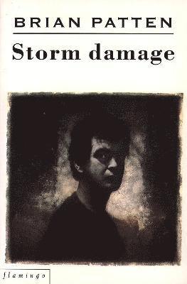 bokomslag Storm Damage