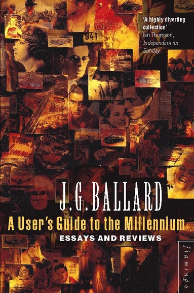 bokomslag User's Guide to the Millennium