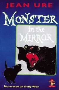 bokomslag Monster in the Mirror