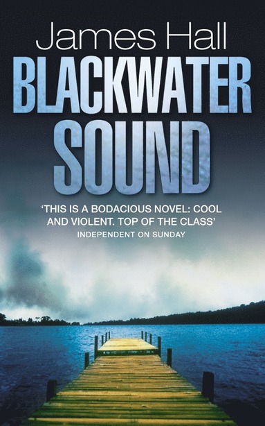 bokomslag Blackwater Sound