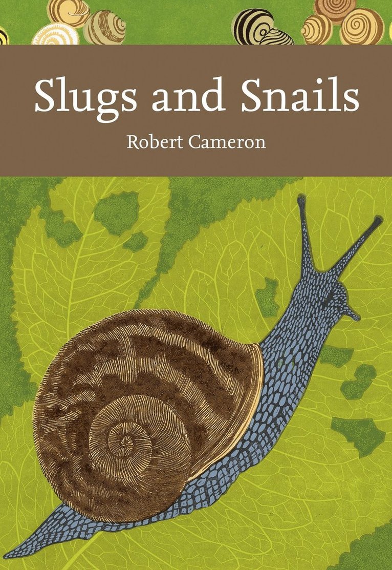 Slugs and Snails