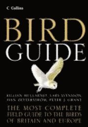 bokomslag Collins bird guide - the most complete g