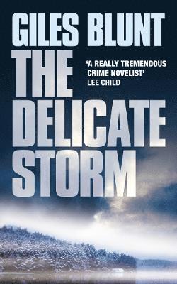 bokomslag The Delicate Storm