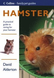 bokomslag Hamster