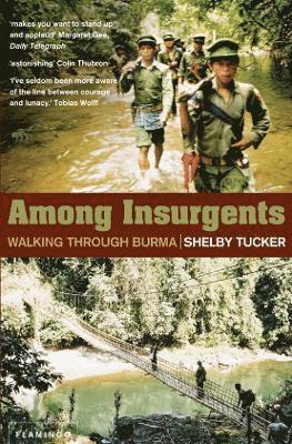 Among Insurgents 1