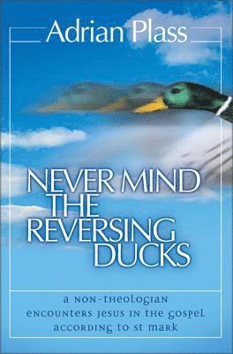 Never Mind the Reversing Ducks 1