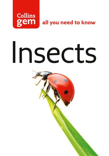 bokomslag Insects