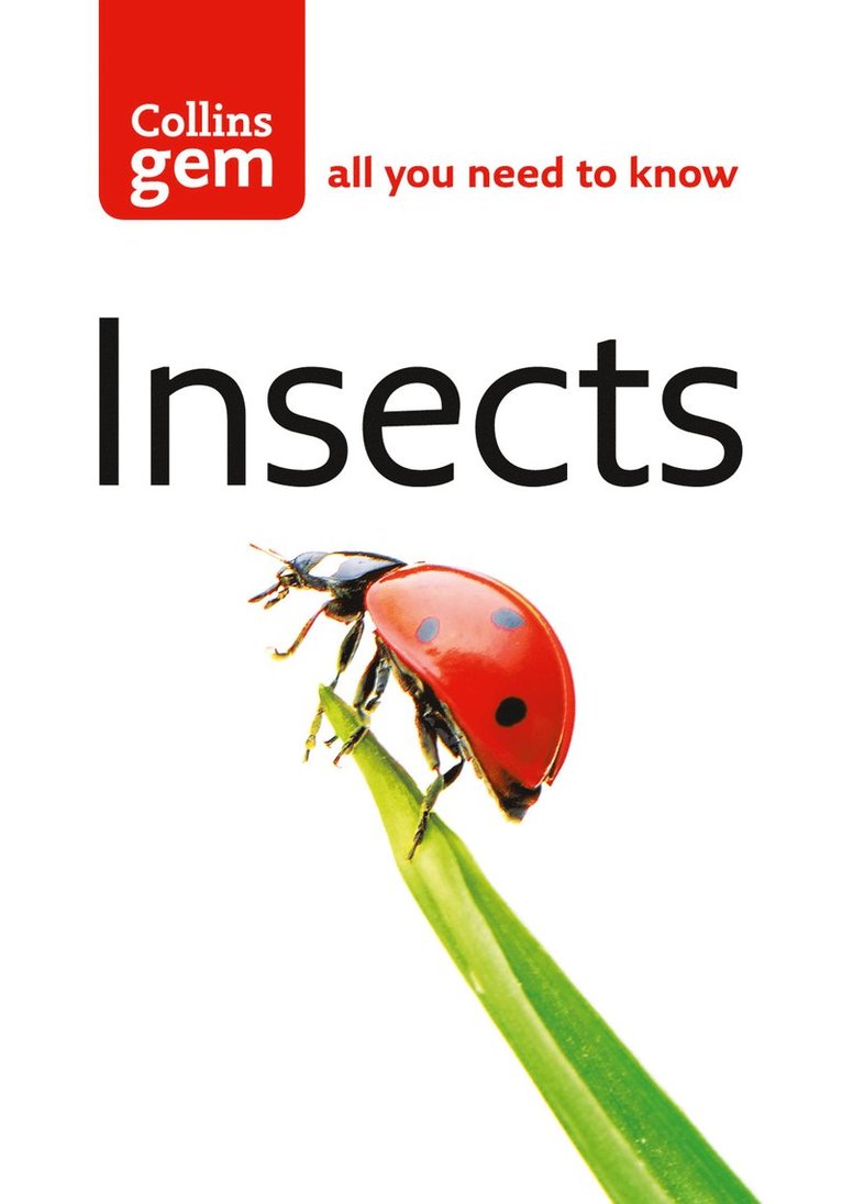 Insects 1