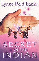Secret of the Indian 1