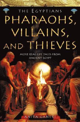 bokomslag Pharaohs, Villains and Thieves