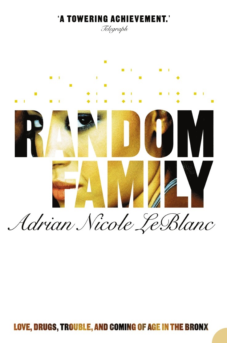 Adrian Nicole LeBlanc - Random Family, Häftad