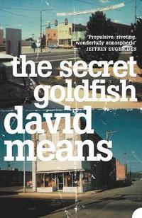 bokomslag Secret Goldfish