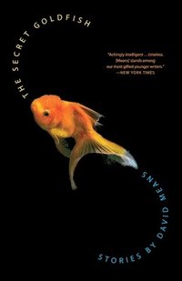 bokomslag The Secret Goldfish