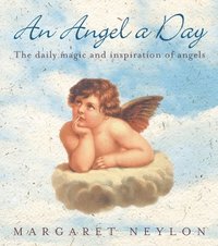 bokomslag An Angel A Day