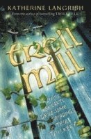 bokomslag Troll Mill
