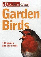 bokomslag Garden Birds