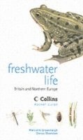 bokomslag Freshwater Life