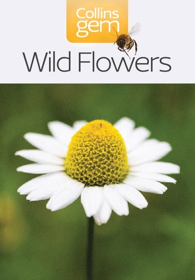 bokomslag Wild Flowers