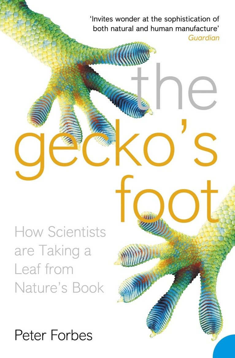 Gecko’s Foot