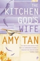 bokomslag The Kitchen Gods Wife