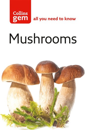 bokomslag Mushrooms