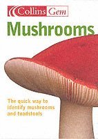 Mushrooms 1