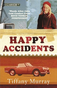 bokomslag Happy Accidents
