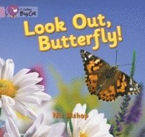Look Out Butterfly! 1