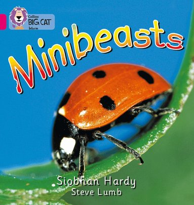 Siobhan Hardy, Cliff Moon - Minibeasts, Häftad