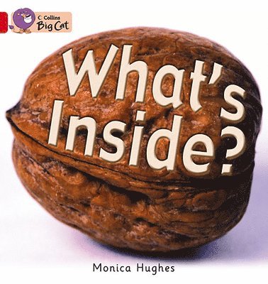What's Inside? 1