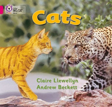 Claire Llewellyn - Cats, Häftad