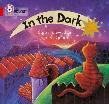 Claire Llewellyn - In the Dark, Häftad
