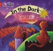 Claire Llewellyn - In the Dark, Häftad