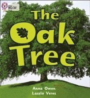 bokomslag The Oak Tree