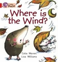 Where is the Wind? 1
